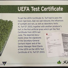 XL artificial turf 2003