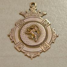 Wilson Cup 1919 A.N.Wilson