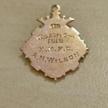 Wilson Cup 1919 A.N.Wilson