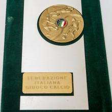 Federazione Italiana Giuoco Calcio